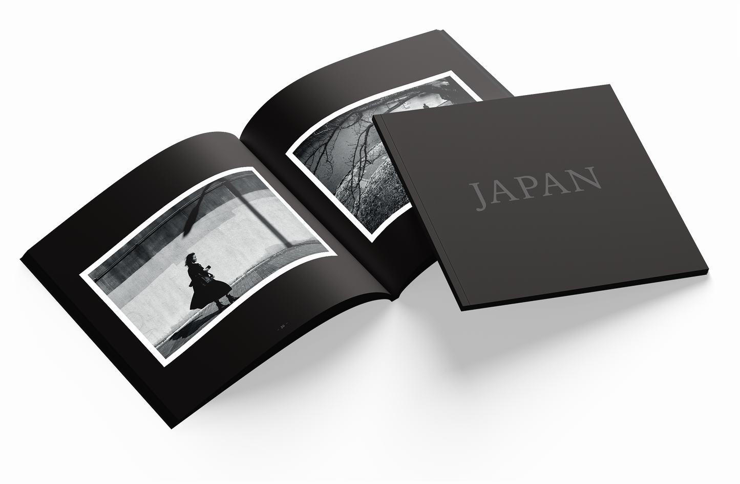 Japan -ichi go ichi e