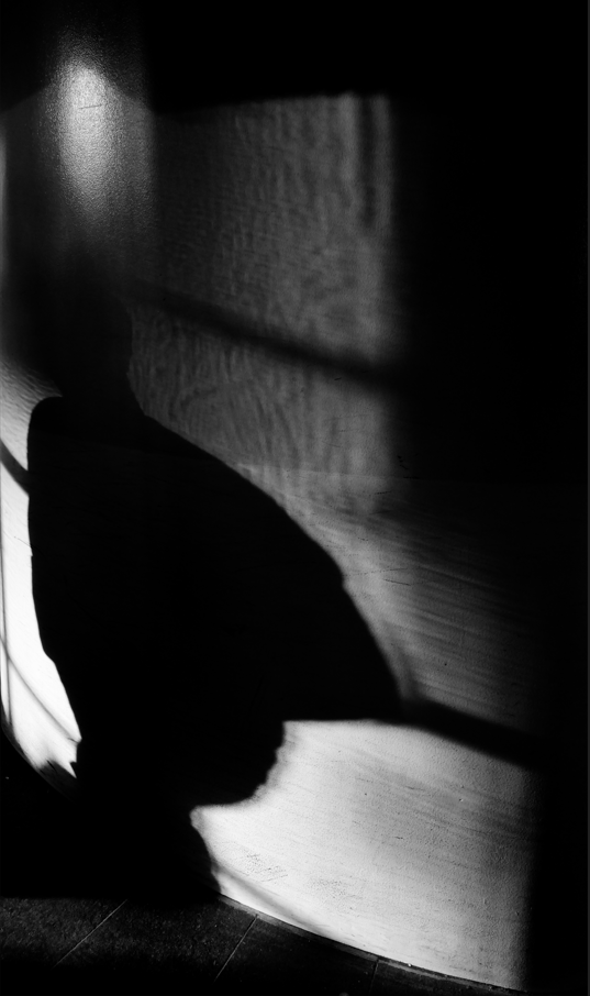 abstract photo of shadow on a wall 